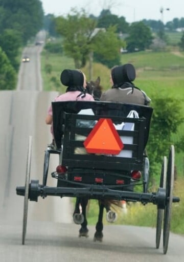 amish people in open buggy on road