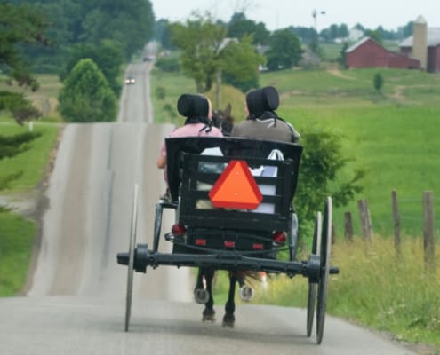 amish money