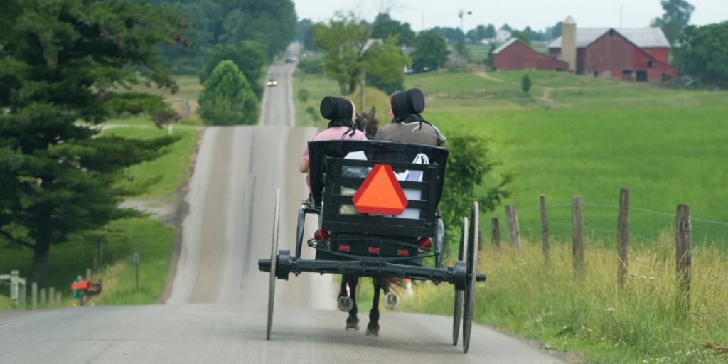 amish people in open buggy on road