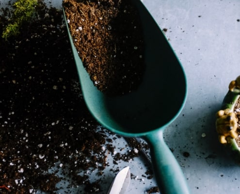 frugal gardening