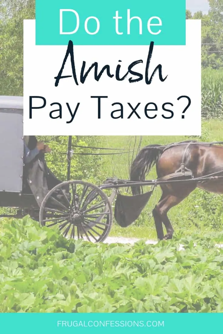 amish buggy on the road in the country with text overlay "do the amish pay taxes?"