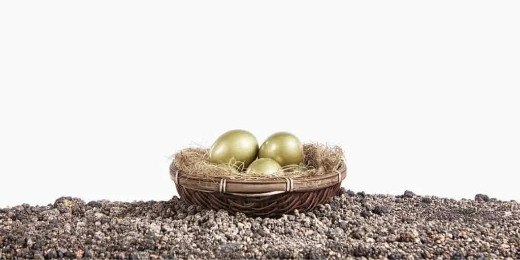 nest of gold eggs on white background