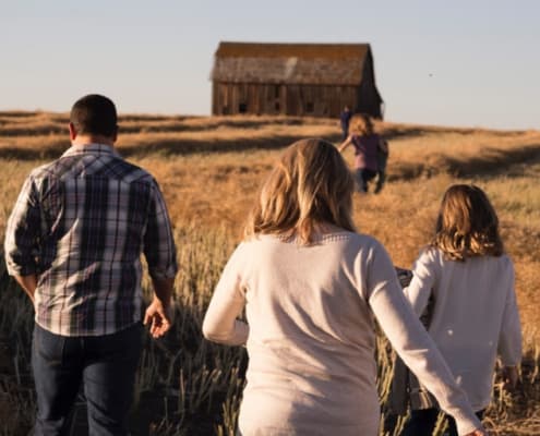 family all walking out into a field of barley towards a barn