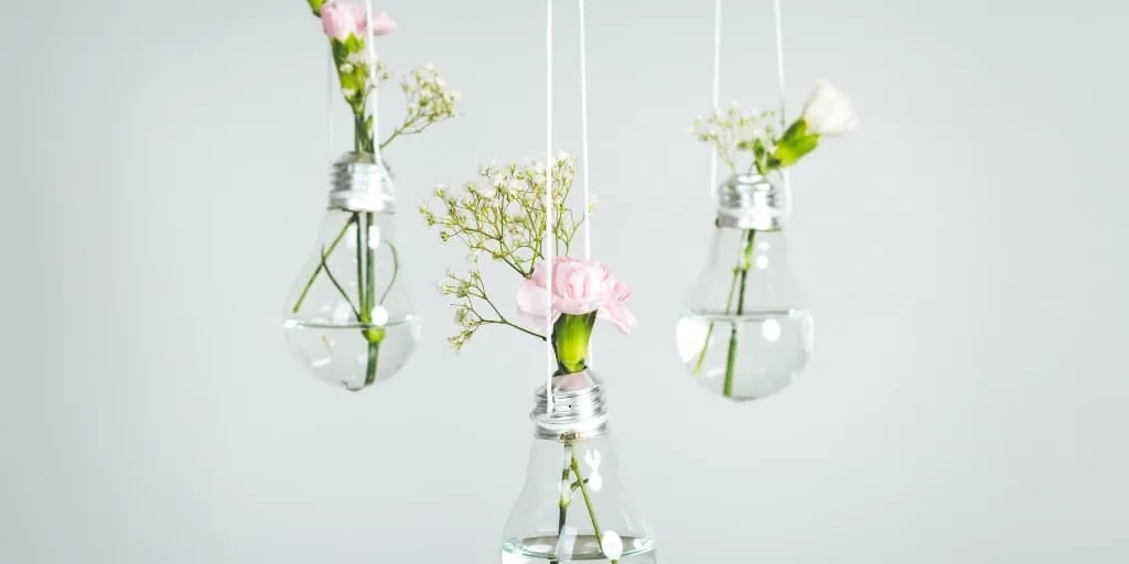 three hanging light bulbs made into flower vases to help lower electricity bill