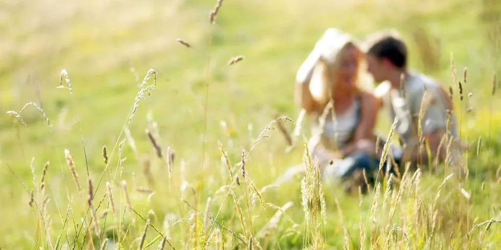 blurry shot of a couple in a beautiful meadow, talking