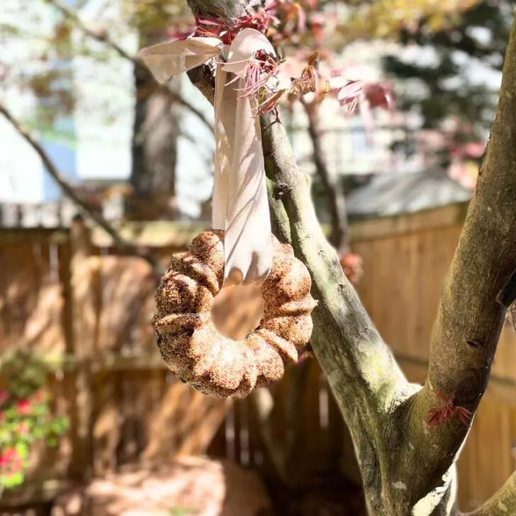 homemade birdseed wreath hanging from tree next to birdhouse