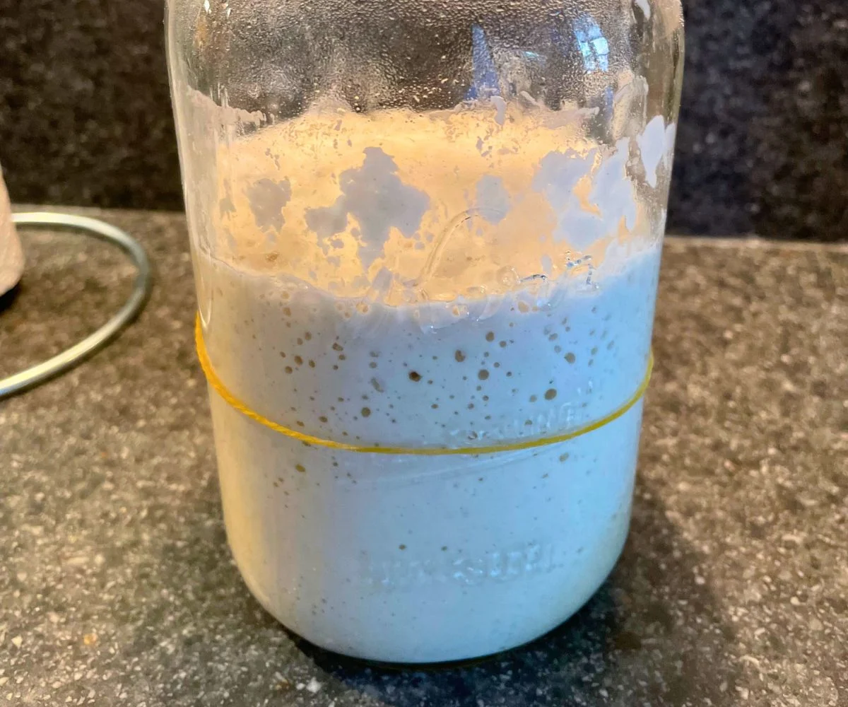 large mason jar filled with sourdough starter that's all bubbly