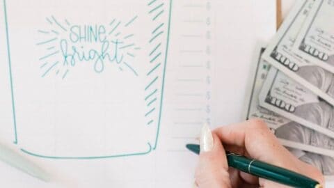 11 Free Printable Emergency Fund Trackers & Charts