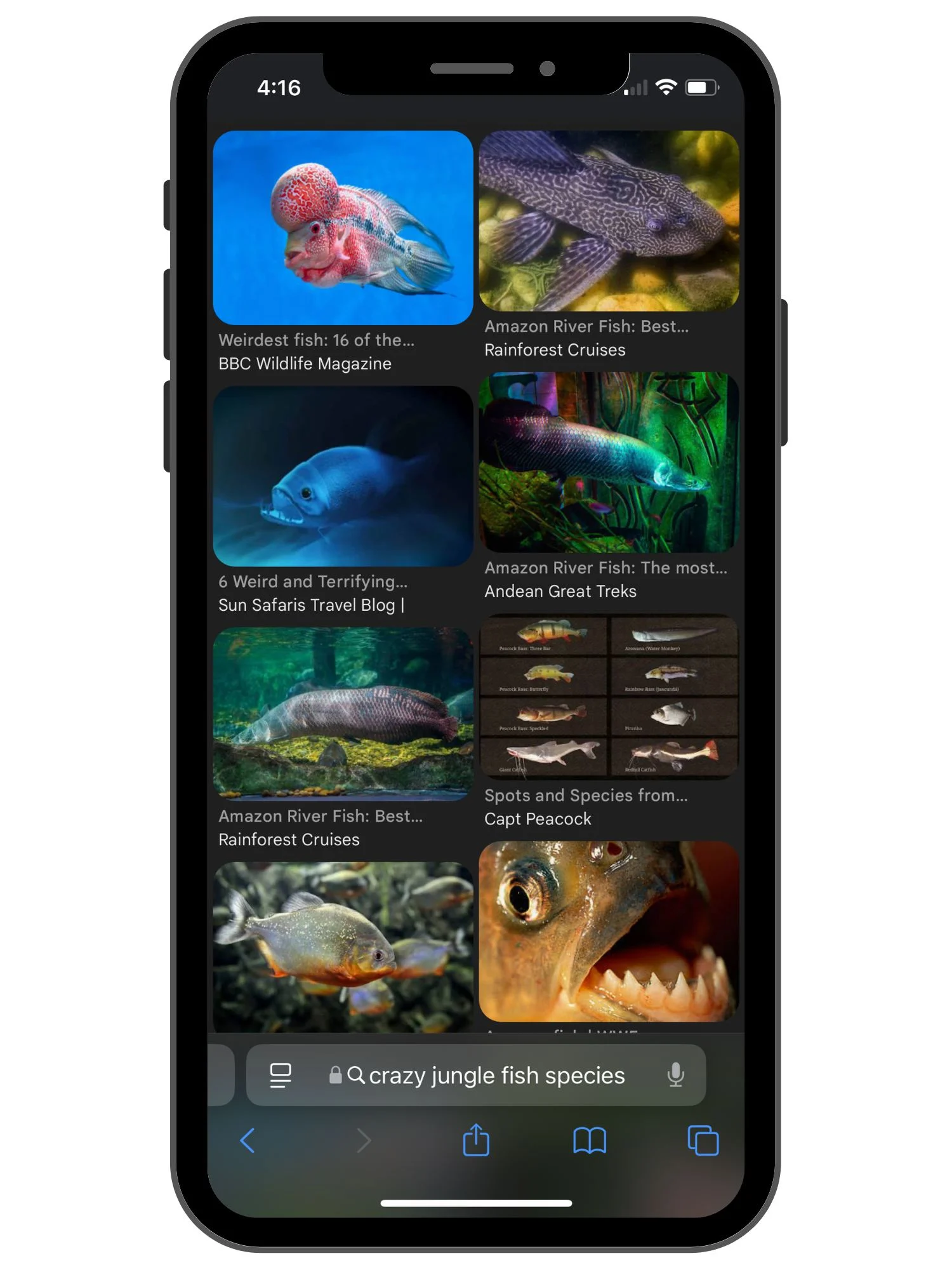 black iPhone filled with image results of "crazy jungle fish species"