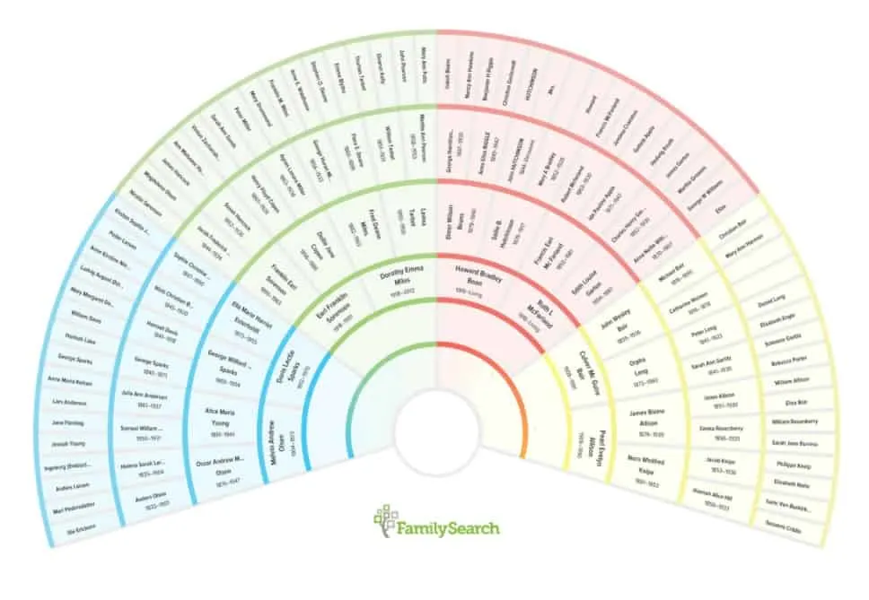 beautiful, large fan shaped genealogy chart with boxes radiating out from a center circle