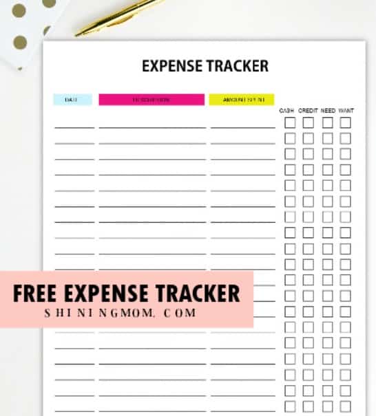 Week long expense tracker with checkboxes for each transaction with credit/debit or need/want