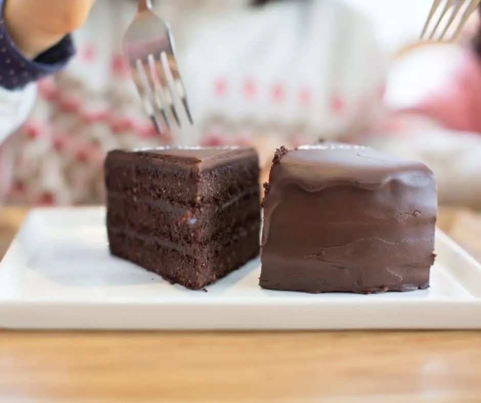 two forks and piece of chocolate cake, mother daughter sharing together