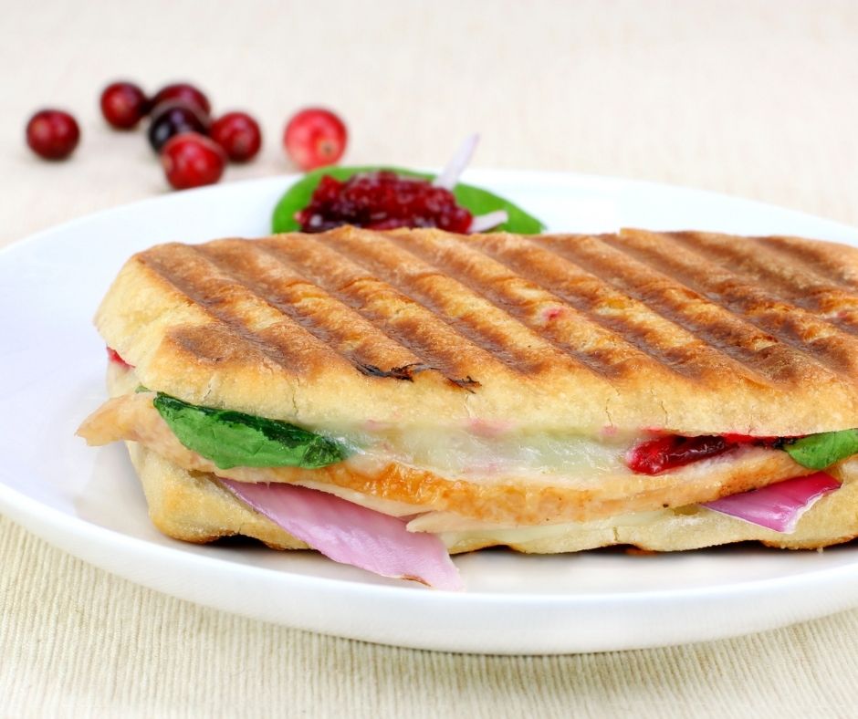 turkey, brie, cranberry panini on a white plate