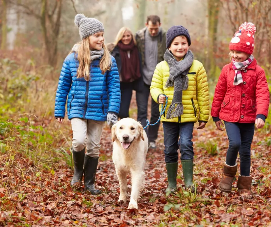 family of five walking through forest in fall, collecting table decor for thanksgiving