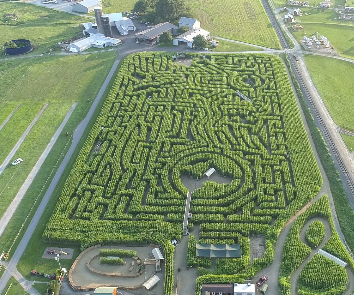 giant corn maze in PA