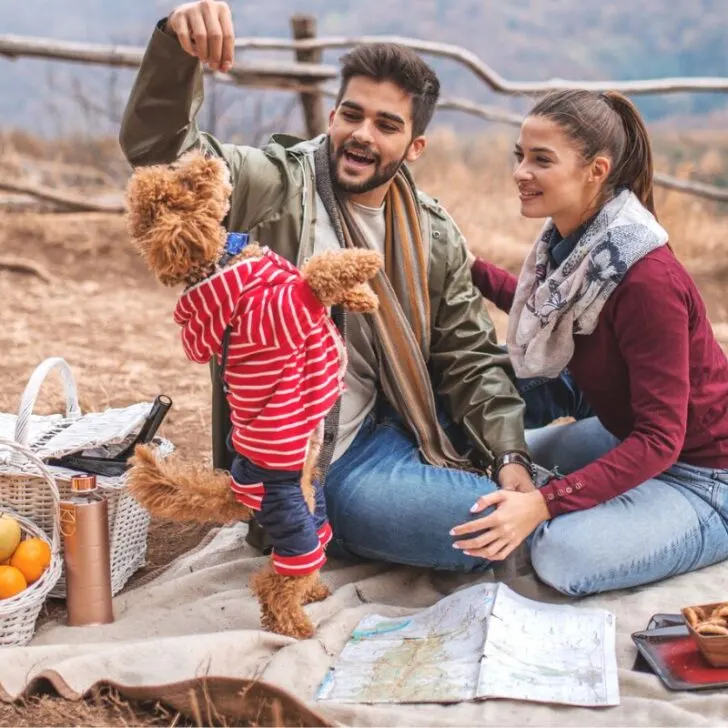 couple with dog on a small picnic for couples with blanket