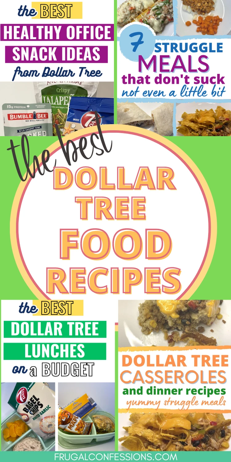 long image with four different blog post images, text overlay "the best Dollar Tree Food Recipes"