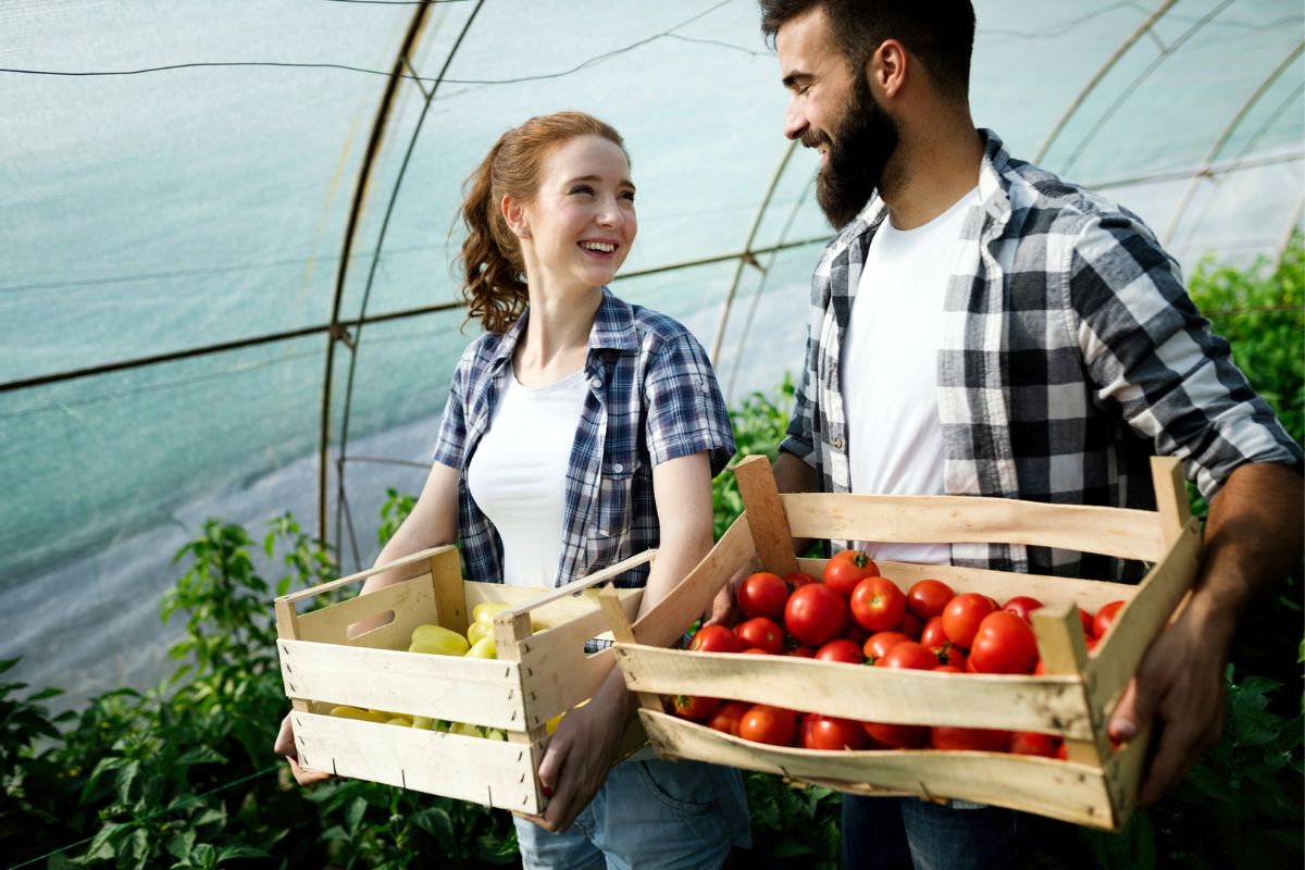 couple in short sleeved flannel shirts carrying vegetable bins on far, smiling