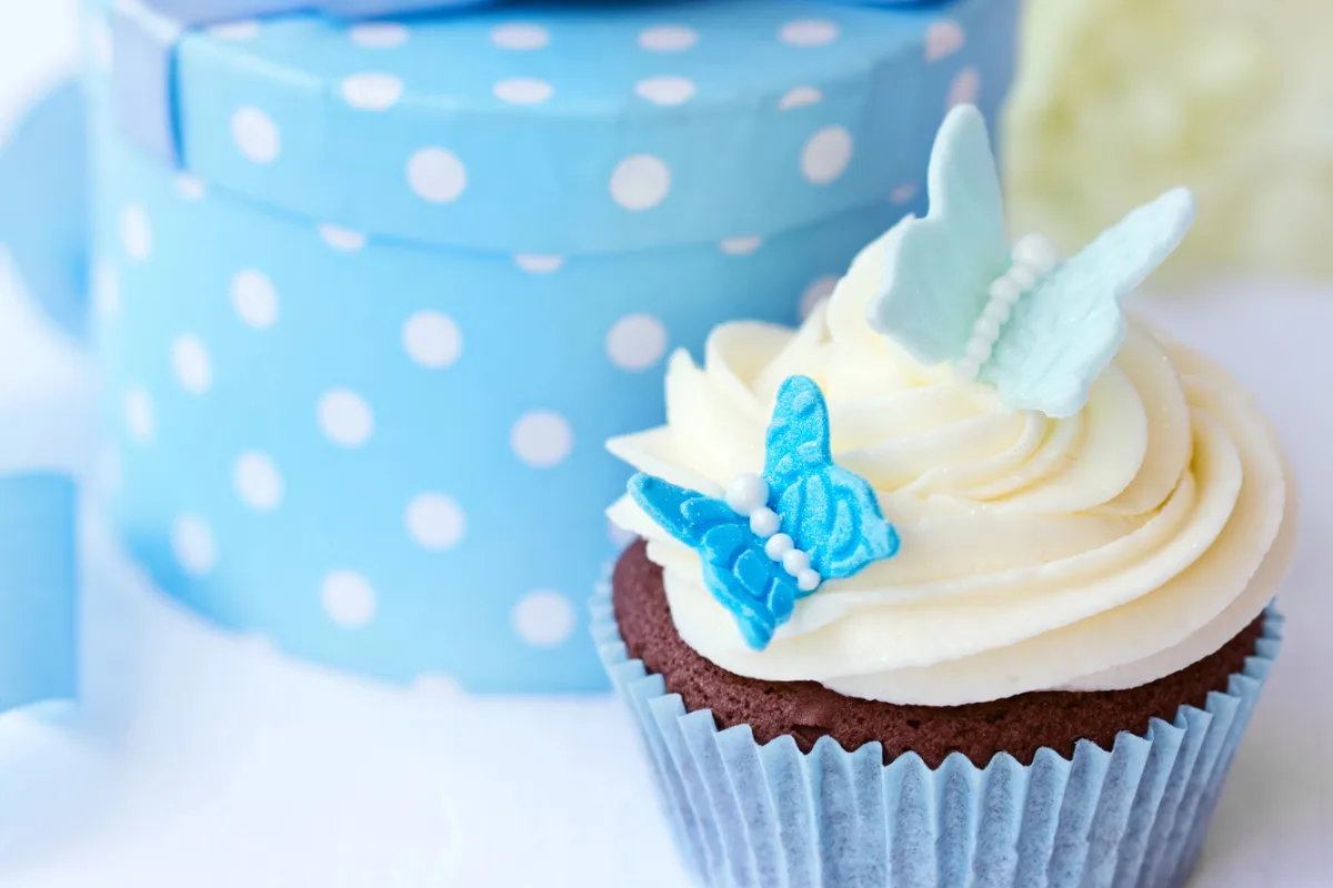 chocolate cupcake with white icing and two butterfly candies in front of blue and white polka dot box