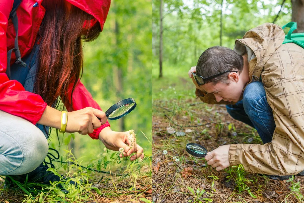 man and woman on opposite sides using a magnifying glass as citizen scientists at park