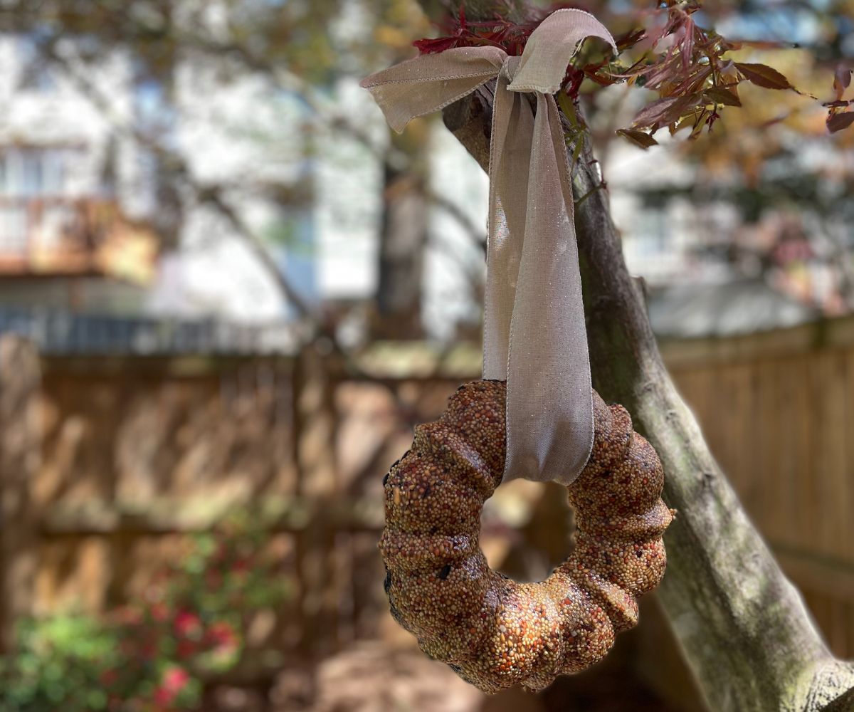 birdseed wreath in shape of bundt cake pan with light gray ribbon, hanging from a tree