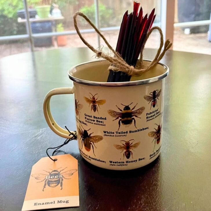 bee identification mug gift with honey elderberry sticks in it