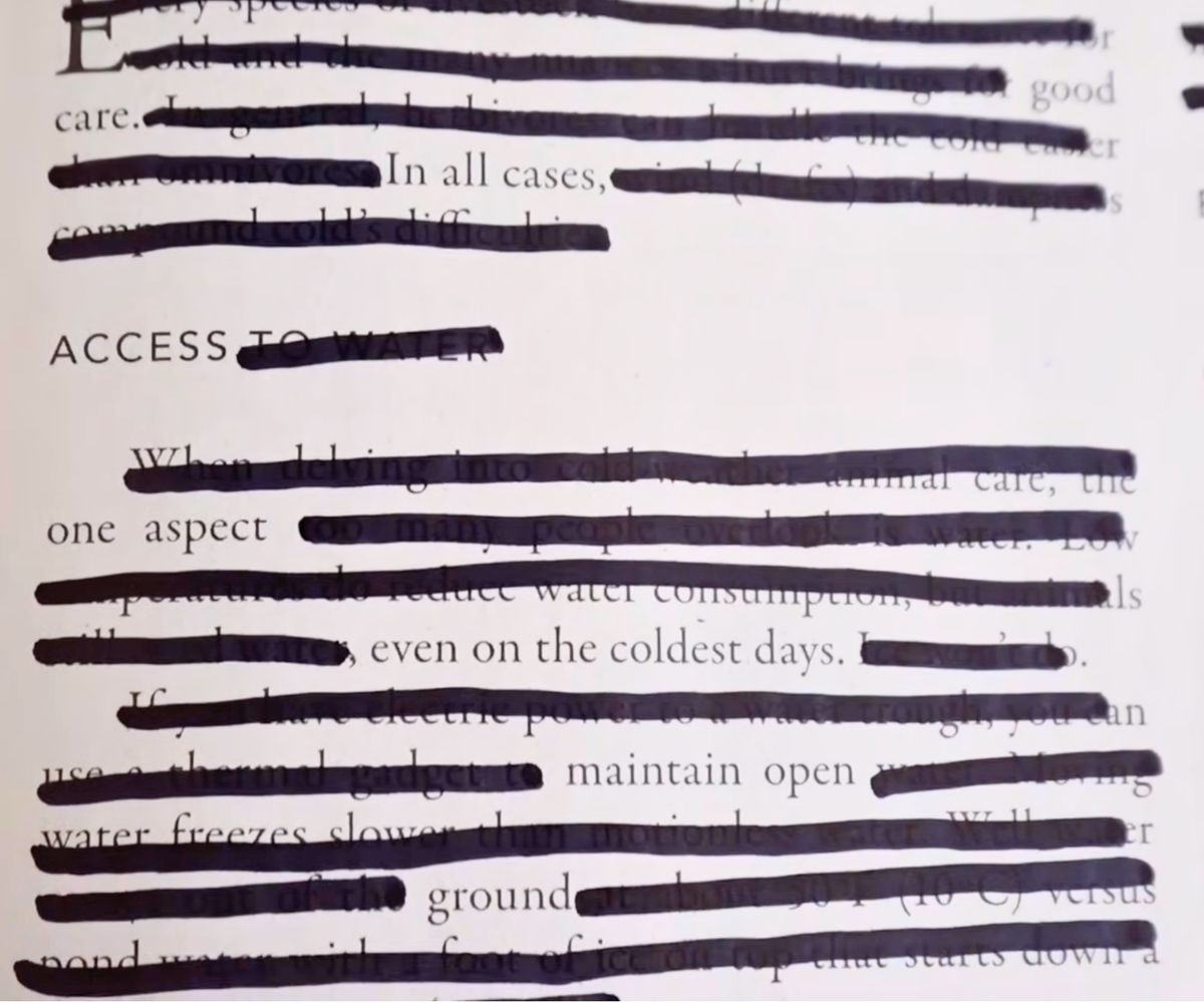 page mostly blacked out with specific, curated words showing through