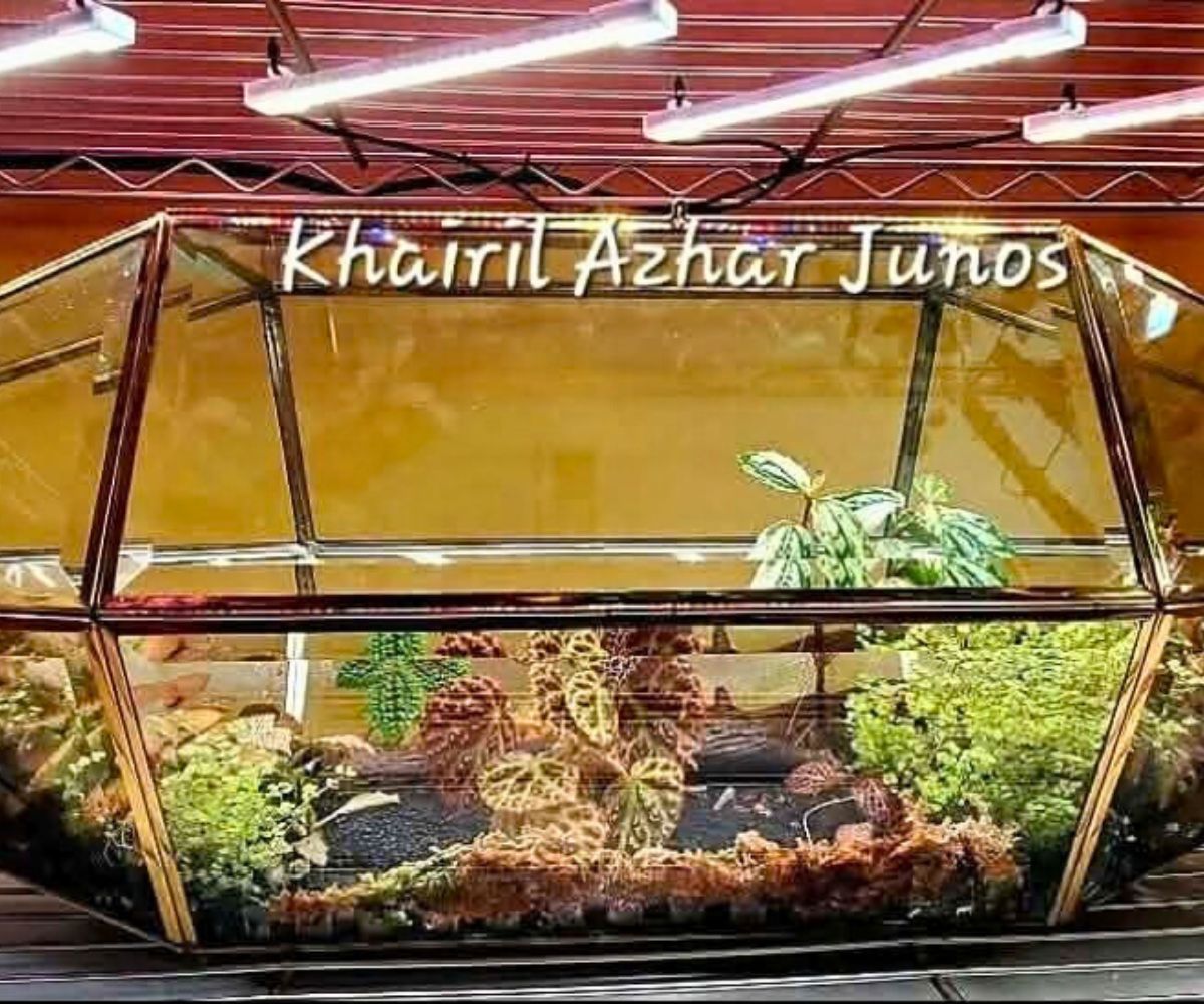 terrarium built inside large glass chandelier from Thrift store