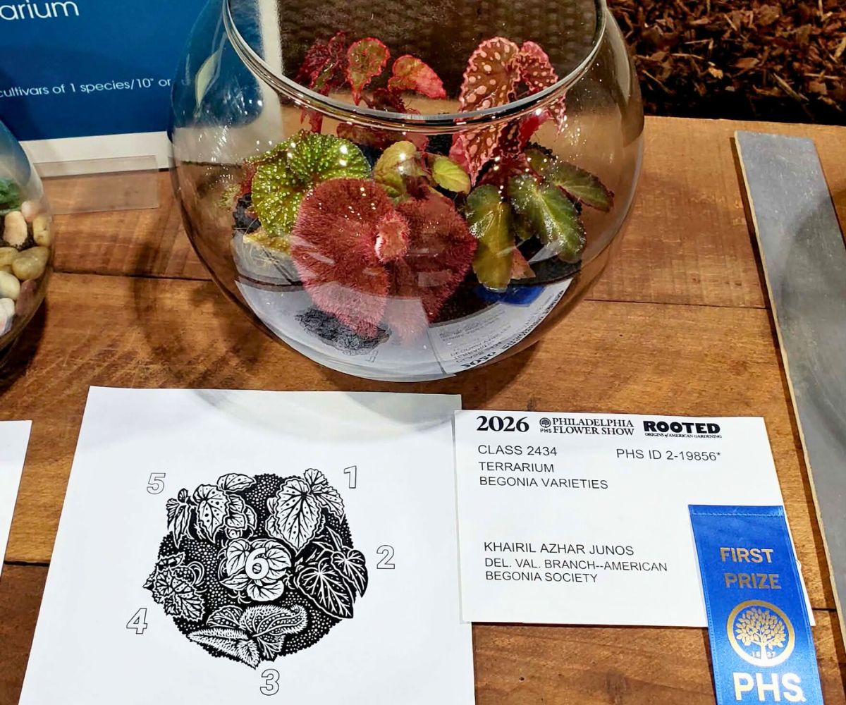 beautiful terrarium showing first prize at the Philadelphia Flower Show