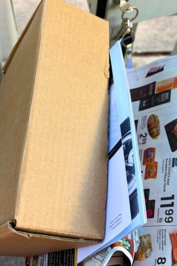 woman getting free box of beauty samples by mailbox